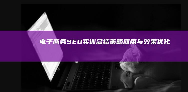 电子商务SEO实训总结：策略应用与效果优化分析